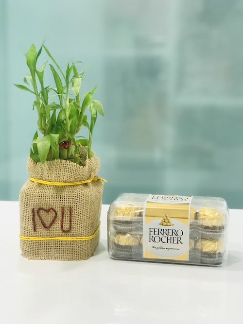 Ferrero Bamboo